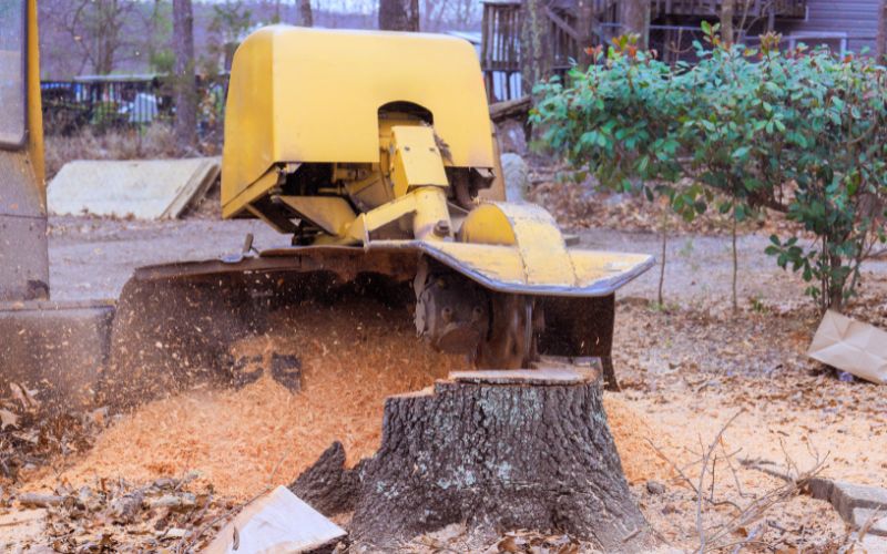 Stump-grinding-02